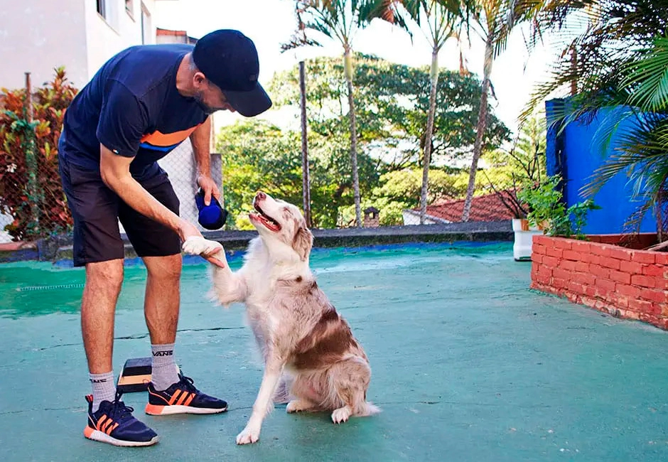 Treinamento Intensivo